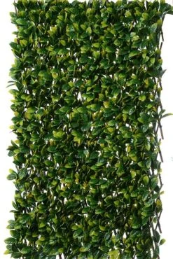 39.3" X 78.7" Uv Laurel Trellis Green