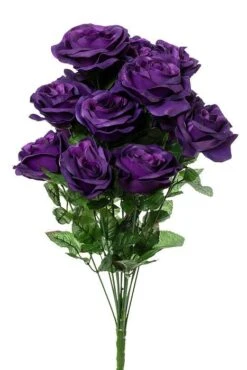 22" Mirco Peach Rose Bush X18 Purple