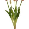 19" Tulip Bundle Pink