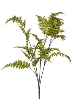 42" Forest Fern Bush Green
