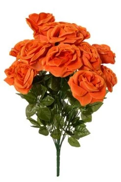 22" Micro Peach Rose Bush Orange