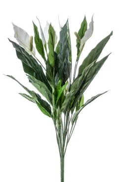 30" Spathiphyllum Plant Green