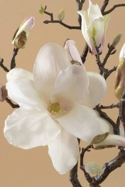 40" Magnolia Branch Spray Cream/pink