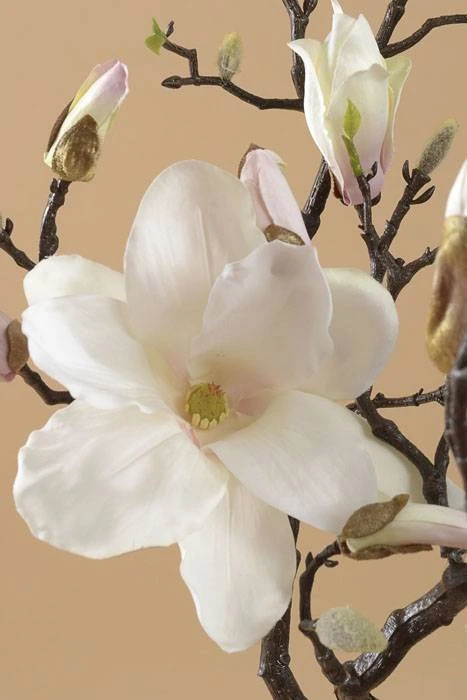 40" Magnolia Branch Spray Cream/pink