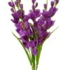 26.5" Pongee Gladiolus Bush Purple