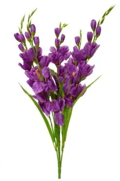 26.5" Pongee Gladiolus Bush Purple