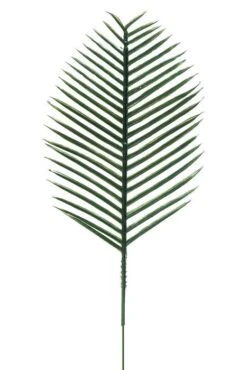 6" Cycus Leaves Green Bx/144