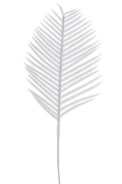 6" Cycus Leaves White Bx/144