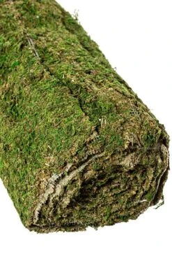 18" X 12ft Moss Mat Natural