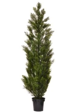 72" Cedar Topiary In Pot Green