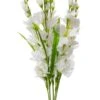 26.5" Pongee Gladiolus Bush Cream