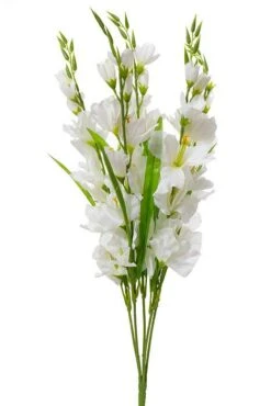 26.5" Pongee Gladiolus Bush Cream
