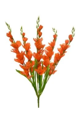 26.5" Pongee Gladiolus Bush Orange