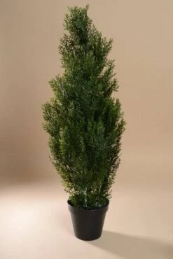 36" Cedar Topiary In Pot Green