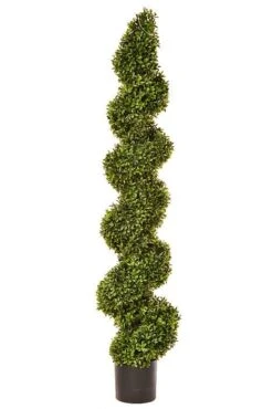 57" Boxwood Spiral Top Green