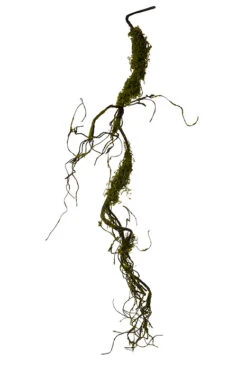 5Ft Moss Branch Garland Green