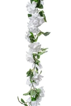 6ft Rose Garland White