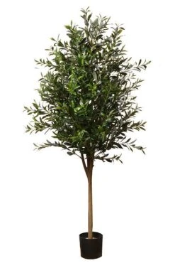 5.9ft Olive Tree W/Pot Two Tone Green