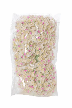 5" Forget Me Not 8 Stemen Ivory Pkg/12