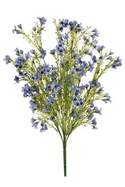19" Waxflower Bush Light Blue