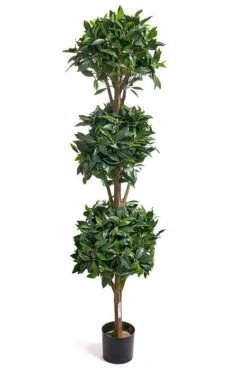 5ft Sweet Bay-leaf Topiary Triple Ball Tree Green