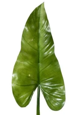 31" Calla Lily Leaf Spray Green