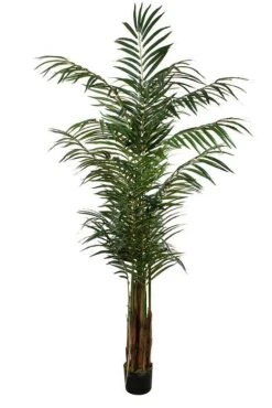 6ft Areca Palm W/pot Green