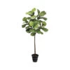5FT Fiddle Leaf Tree In Pot Green