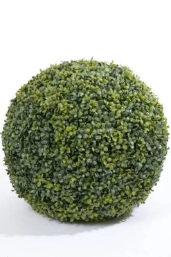 19" Boxwood Ball Green