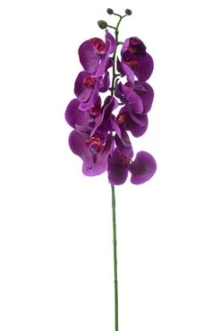 29" Phalaenopsis Spray Purple