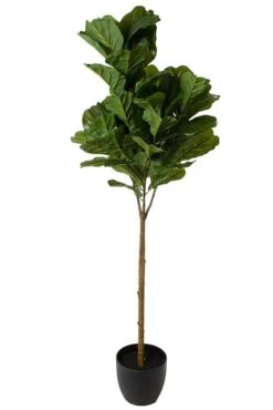 5ft Silk Fiddle Leaf Tree In Pot Green