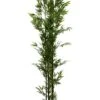 7ft Silk Mini Bamboo Tree In Pot Green