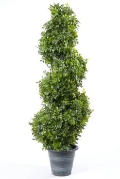 36" Boxwood Spiral Topiary Green