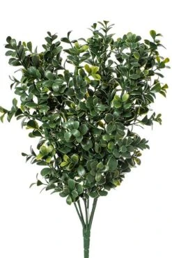 17" Boxwood Bush Green