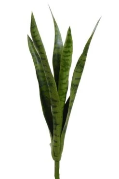 23.75" Mother-in-law's Tongue Green