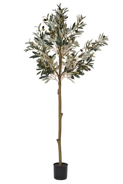 58" Potted Olive Leaf Topiary Green