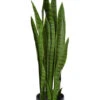 33" Sansevieria Plant In Pot Green