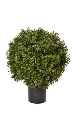 23.5" High Ball Boxwood Topiary Pot Green