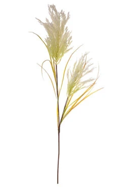 49" Pampas Grass Spray Cream