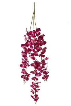 55" Phalaenopsis Spray Fuchsia