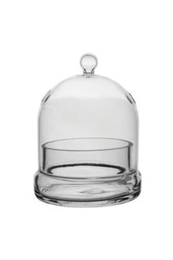 6" Terrarium Glass Cloche Crystal