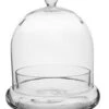 8.5" Terrarium Cloche Crystal