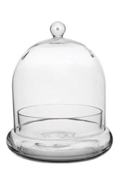 8.5" Terrarium Cloche Crystal