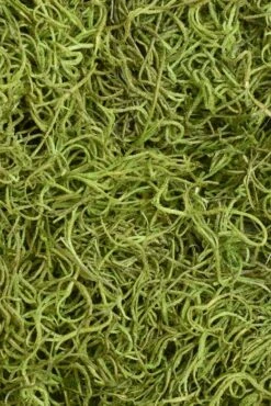 Spanish Moss Green