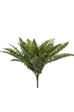 28" Boston Fern Green