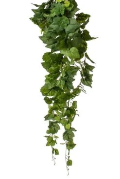 42" Grape Ivy Hanging Bush Green