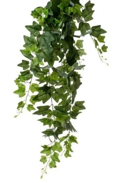 42" English Ivy Hanging Green