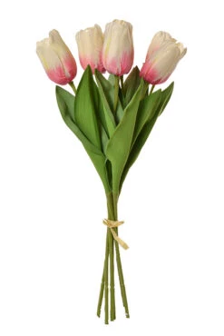 26" Tulip Bundle Cream/Pink