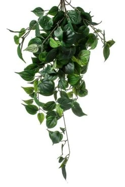 33" Philo Leaf Bush Green