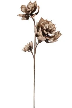 37" Magnolia Spray Light Brown